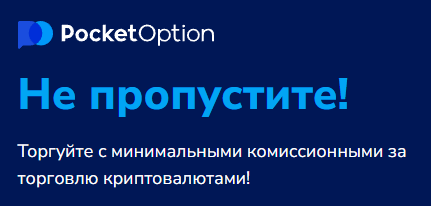 Pocket Option Legit Анализ надежности и легальности платформы